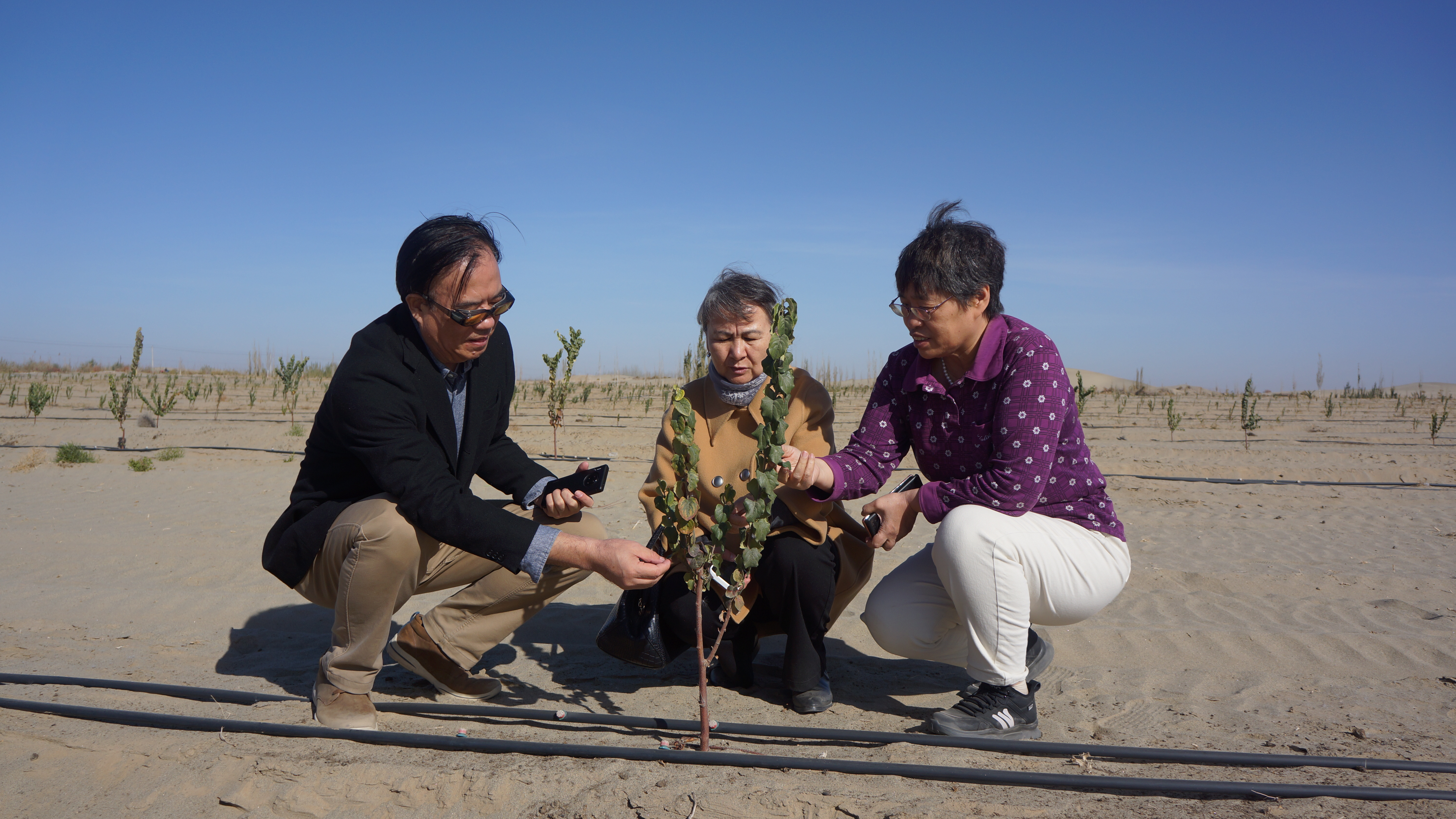 “智慧行动·百会百县乡村行”——新疆药学会赴 和田县开展科技志愿服务活动 “智慧行动·百会百县乡村行”——新疆药学会赴 和田县开展科技志愿服务活动