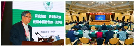 2019全国地方药学会改革创新发展研讨会在豫召开 2019全国地方药学会改革创新发展研讨会在豫召开
