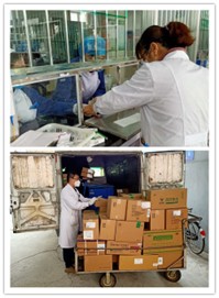 万众一心筑牢防线 众志成城抗击疫情 —新疆药学会抗击疫情先进典型事迹简报（第2期）